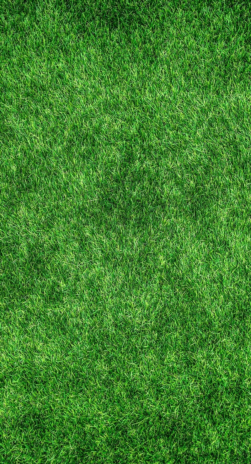 Chic eco-friendly trends